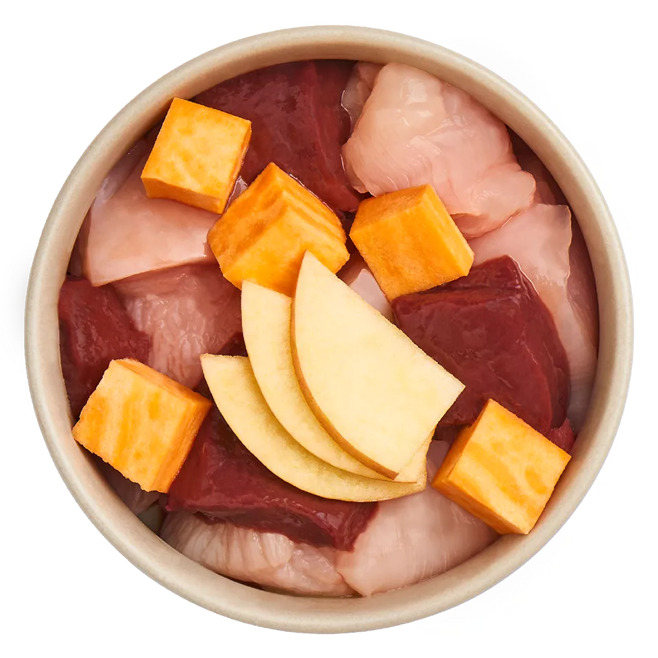 Adult Rind mit Huhn