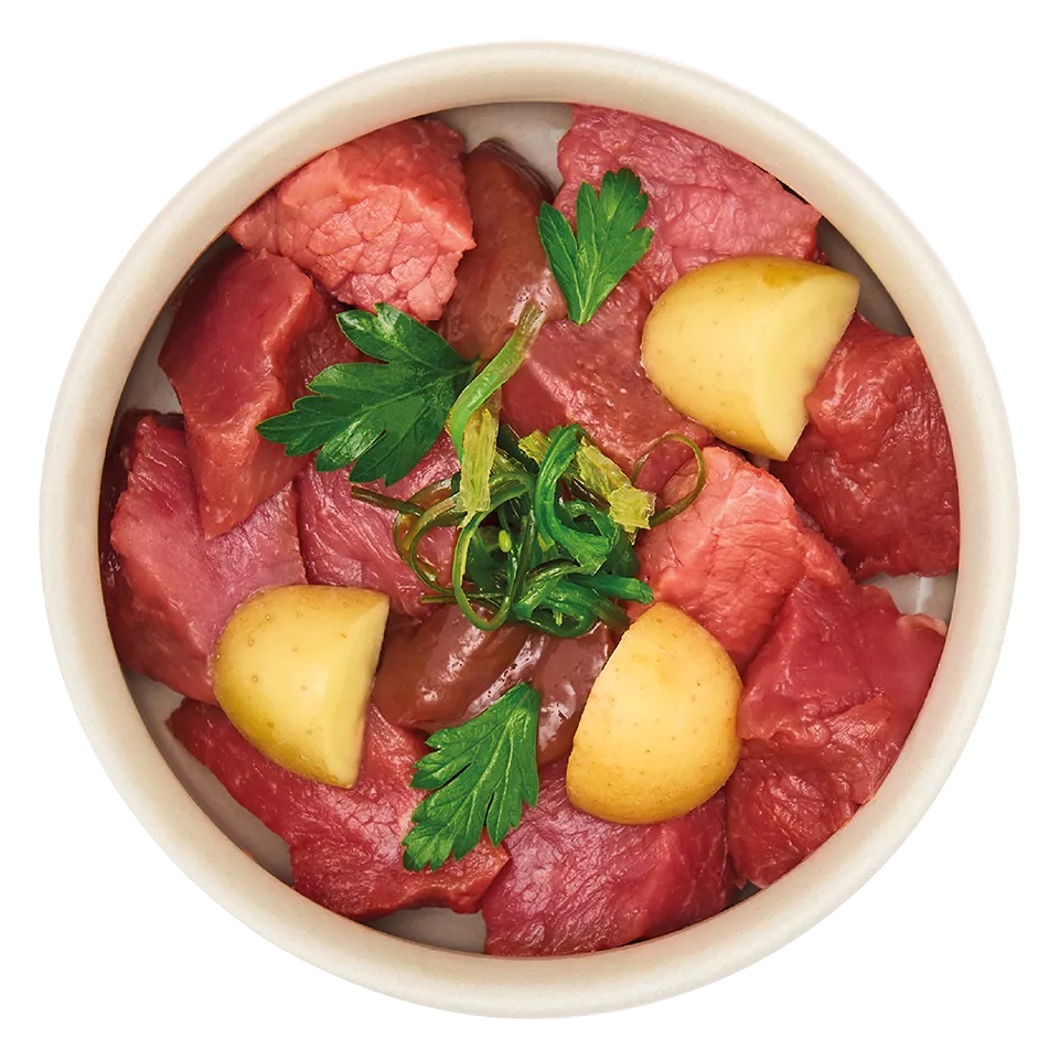 Adult Rind mit Lamm