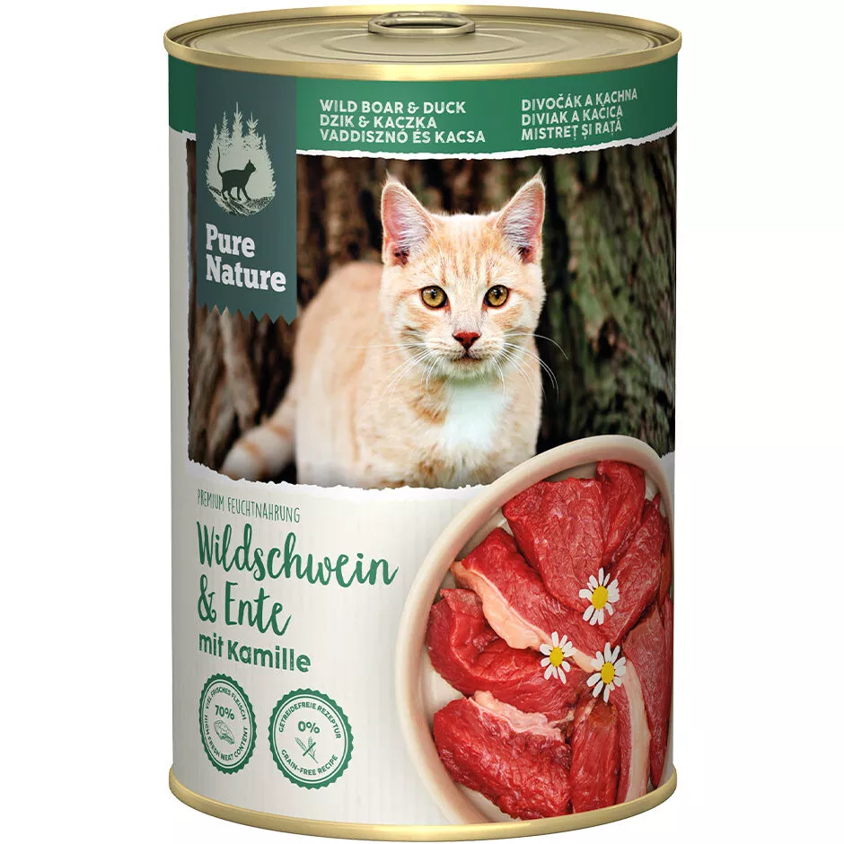 Adult Wildschwein & Ente