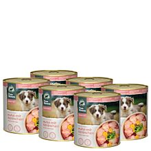 Puppy-Set