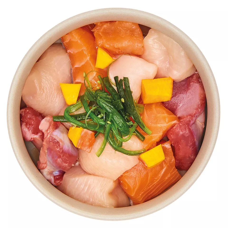 Adult chicken & salmon