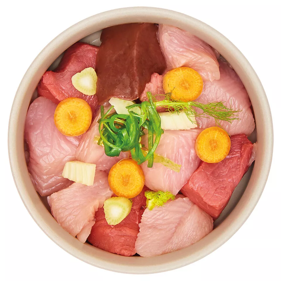 Adult turkey & beef