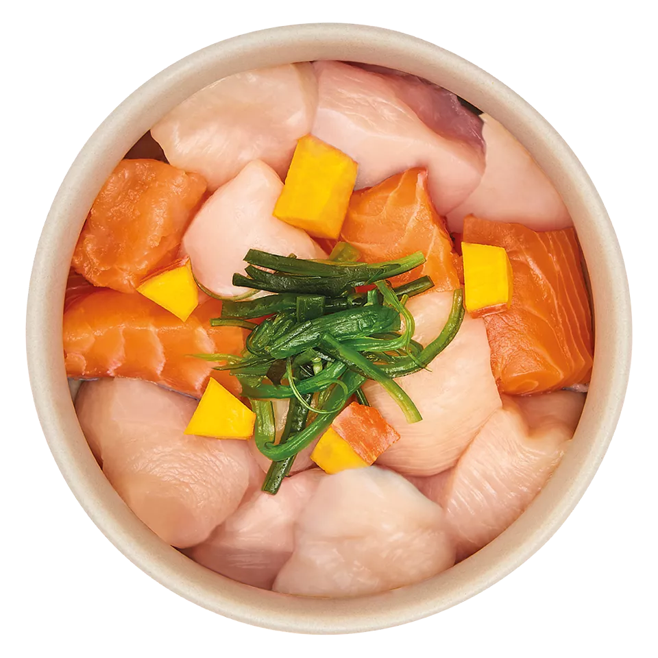 Adult chicken & salmon