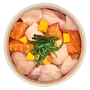 Adult chicken & salmon