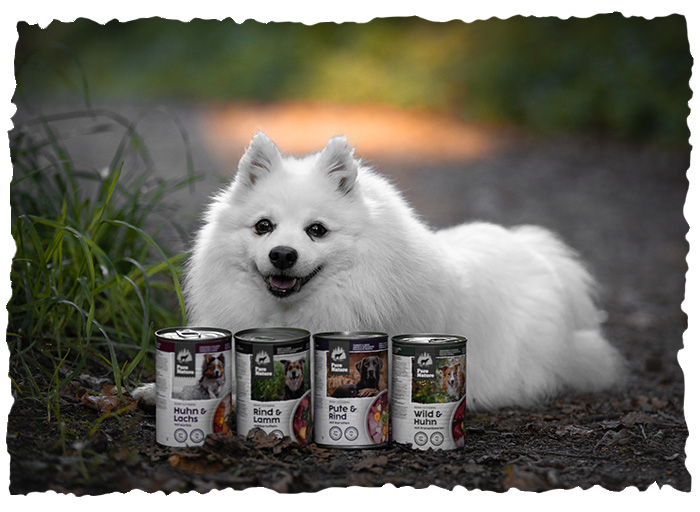 A small Spitz lying on the path in a forest in front of 4 Pure Nature products